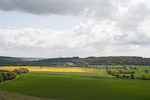 _MG_5222p