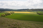 _MG_5223p