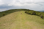 _MG_5227p