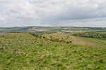_MG_5234p