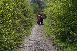 _MG_5241p