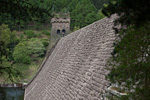 _MG_5347