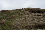 _MG_5381