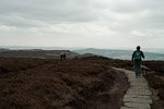 _MG_5443