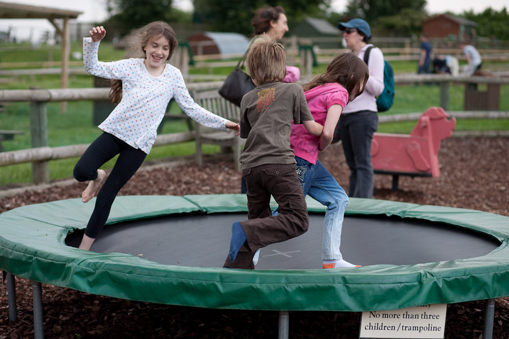 _MG_5966p