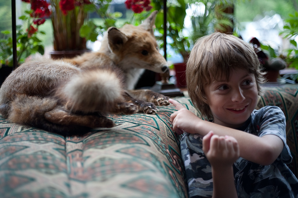 _MG_6178p
