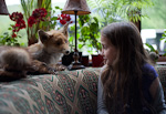 _MG_6181p