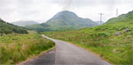_MG_6195pan