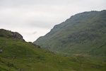 _MG_6220p