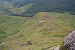 _MG_6237p
