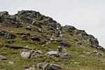 _MG_6265p