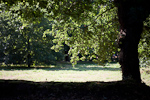 _MG_7170p
