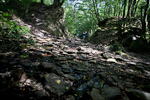 _MG_7224p