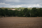 _MG_7323p