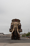 _MG_7432p