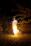 _MG_7907p