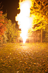 _MG_7918p
