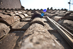 _MG_0546p