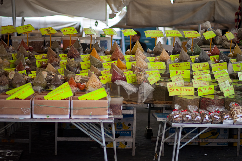 _MG_1017p