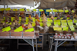 _MG_1017p