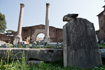 _MG_9878p