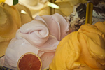 _MG_9193p