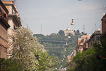_MG_9382p