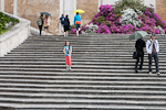 _MG_0423p