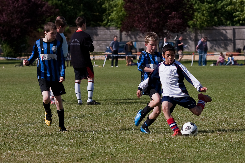 _MG_1486p