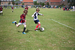 _MG_1645p