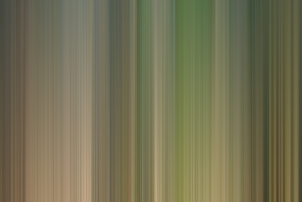 fields