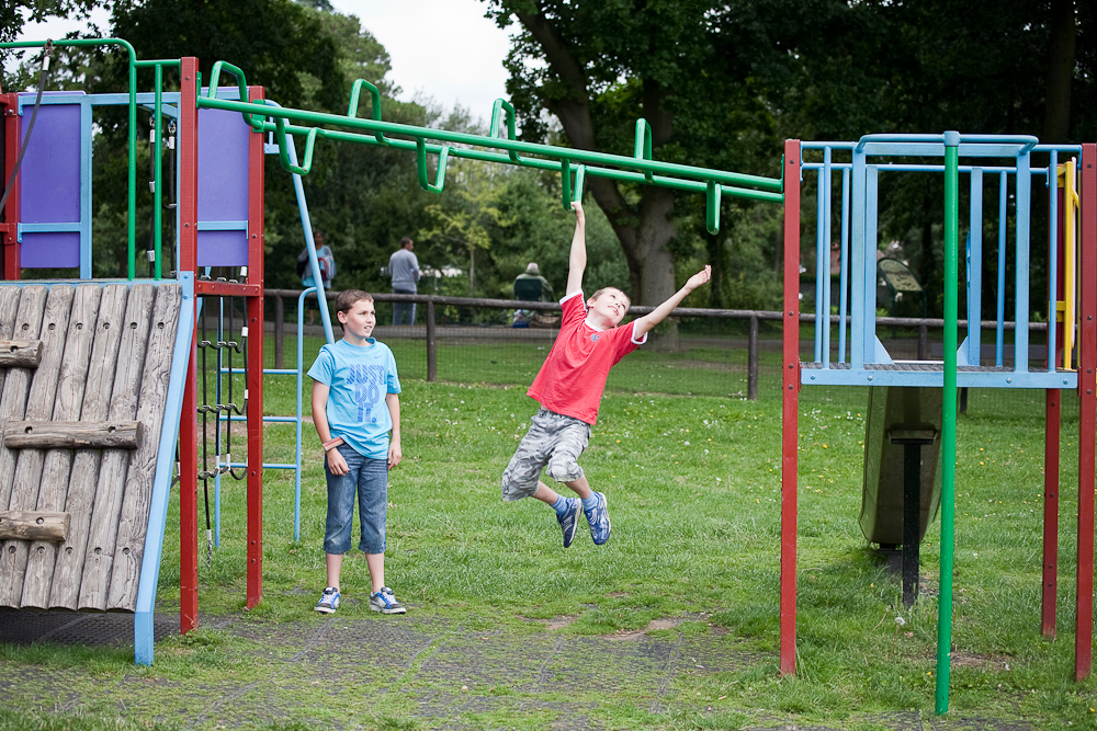 _MG_3156p