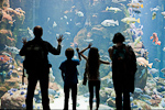 [California Academy of Sciences]
