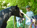 [ 27/05/12 - Geocaching with friends at Brokkmans Park ]