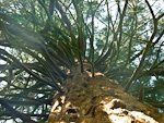 P1020245