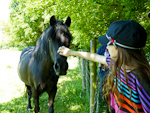 [ 27/05/12 - Greeting the horses on a geocaching walk ]