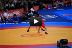 video_sa