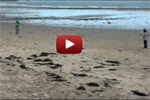 Video2_Kite