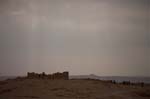 _MG_6219