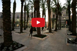 SafraSq_Movie