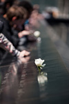 _MG_3871p