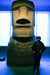 [Amercian Museum of Natural History]