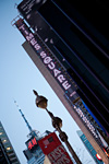 _MG_3181