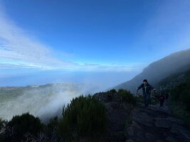 009a5b20-8d14-4324-b4aa-b87251288f85