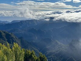 32445dfd-a90c-4eee-af84-6d702295f27d