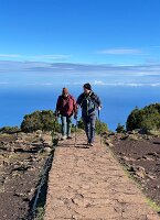 8a2be249-a8a6-4fc0-b57c-b72261369daa - Copy