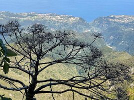 e0e76d9d-76a7-4e8e-b5cf-1e34741623dd