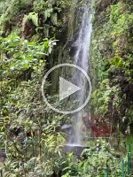 344221c5-5b9a-4fee-80fa-22f682f7a7ba